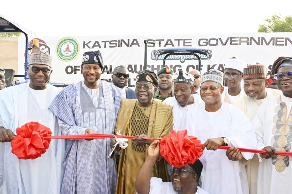 Let your work speak for you— Tinubu tells governors
