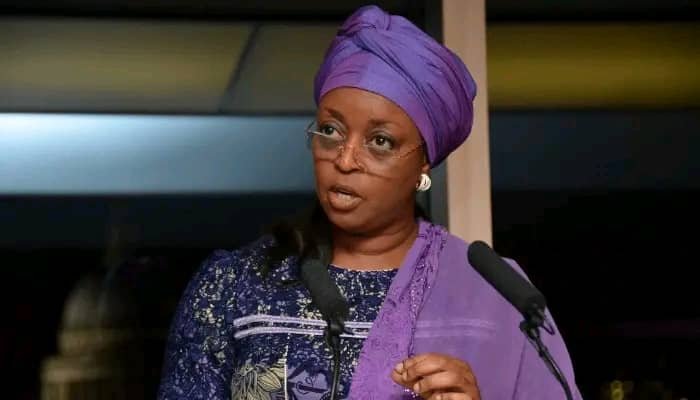 Diezeni Denies Ownership of Recovered $52.8million Million US Loot, Points Out Alleged ‘Owner’
