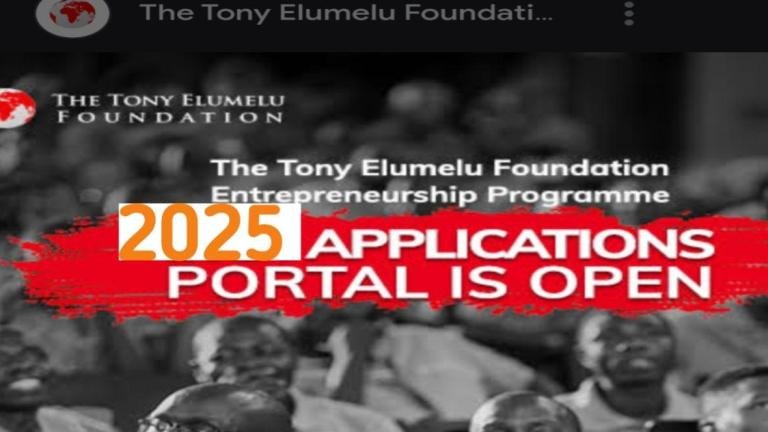 ony Elumelu Foundation
