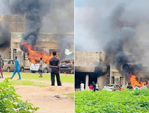 NDLEA Destroys 30-Hectare Cannabis Farm in Cross River, Arrests 191 Suspects