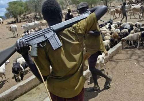 Many Killed As Suspected Herdsmen Attack Ebonyi Community